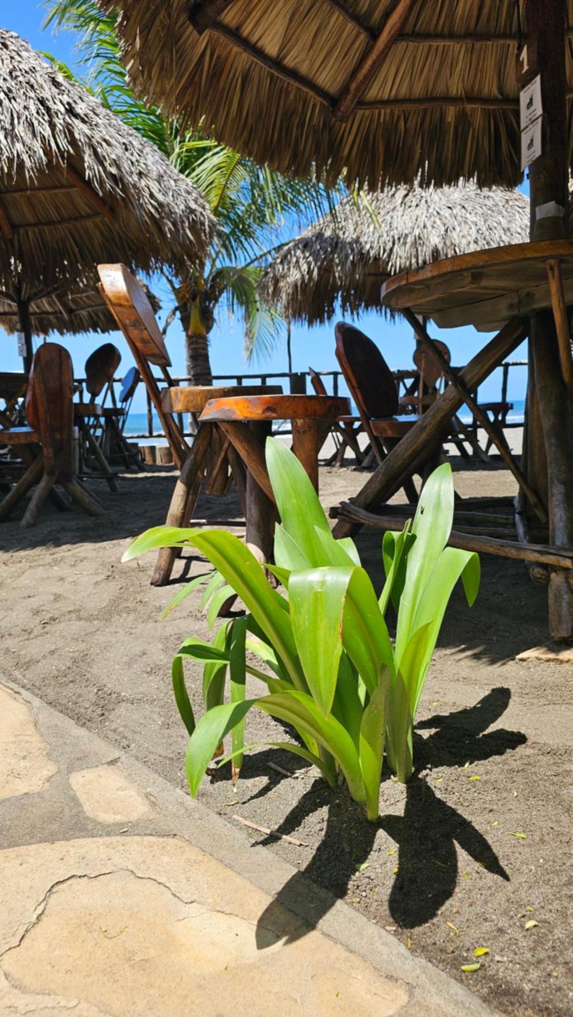 Mano A Mano Eco Hostal Las Peñitas Zewnętrze zdjęcie